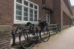 Smeedijzeren hekwerk: zou op een brug niet misstaan!
<br/>
Marcel Westhoff, mei 2016
